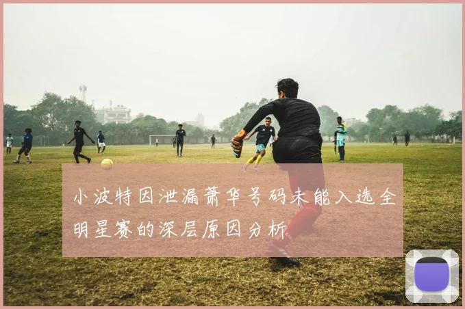 小波特因泄漏萧华号码未能入选全明星赛的深层原因分析